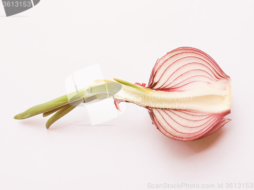 Image of Retro looking Red onions vegetable sliced