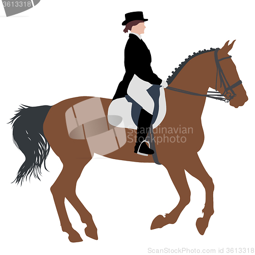 Image of silhouette of horse and jockey