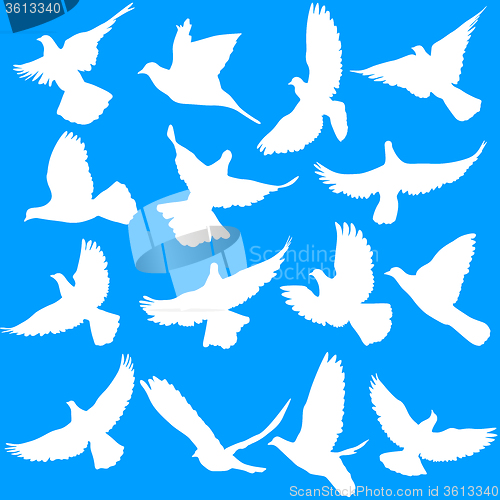 Image of Concept of love or peace. Set of silhouettes of doves. 