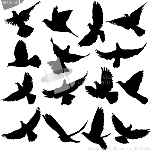 Image of Concept of love or peace. Set of silhouettes of doves. 