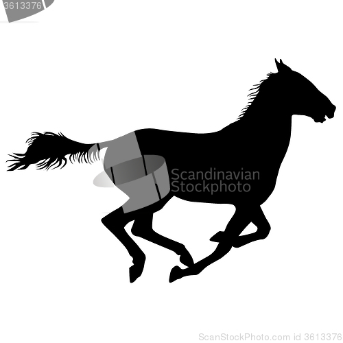 Image of  silhouette of black mustang horse illustration