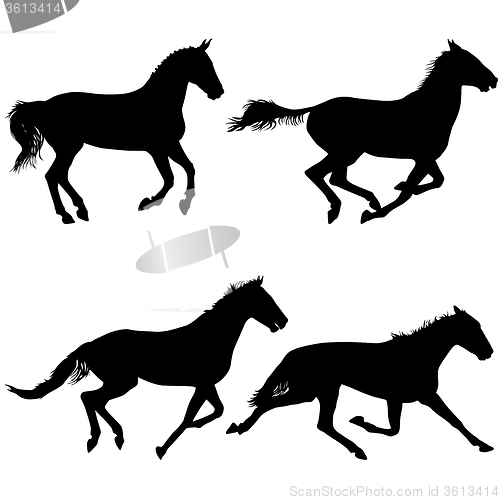 Image of Set  silhouette of black mustang horse illustration