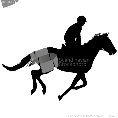 Image of silhouette of horse and jockey