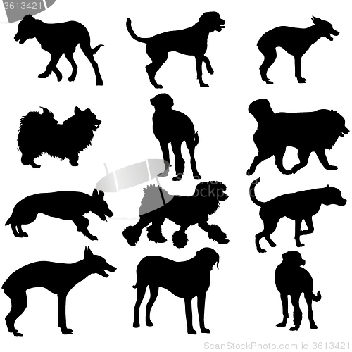 Image of Set silhouette black dog. illustration.