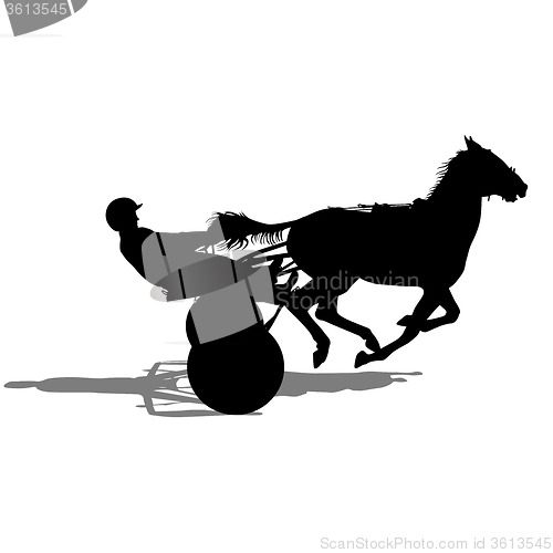 Image of silhouette of horse and jockey