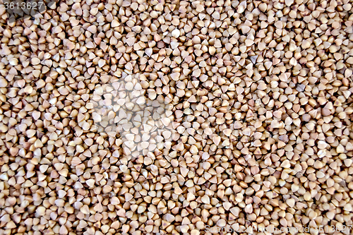 Image of Buckwheat texture