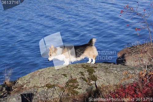 Image of checking the water