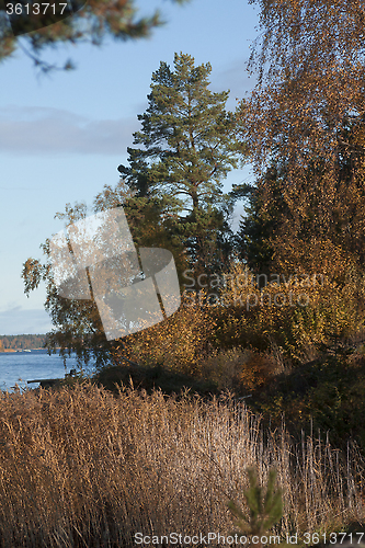 Image of by the sea in fall