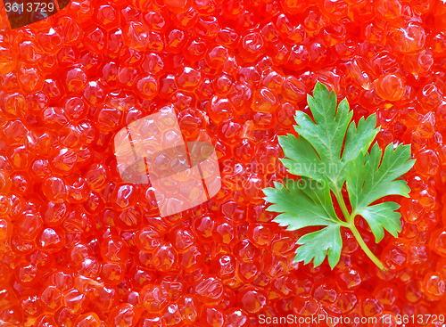 Image of salmon caviar