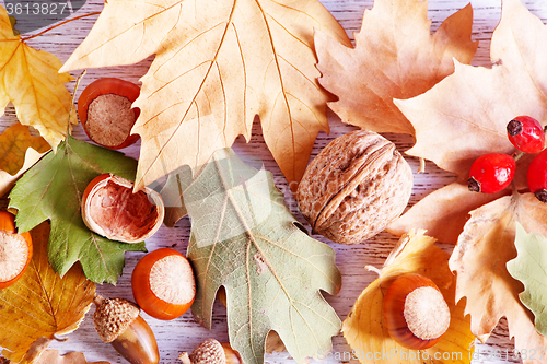 Image of autumn background