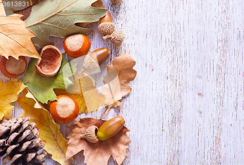 Image of autumn background