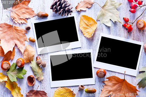 Image of autumn background