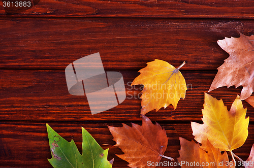 Image of autumn background