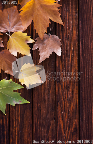 Image of autumn background