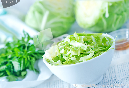 Image of cabbage salad