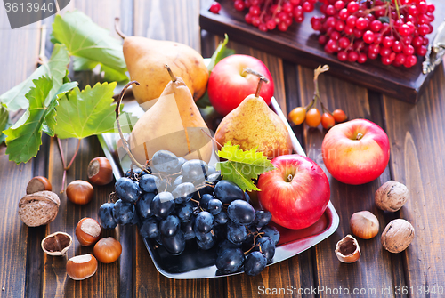 Image of autumn fruits