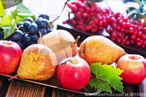 Image of autumn fruits