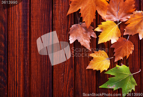 Image of autumn background