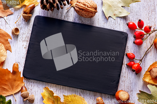 Image of autumn background