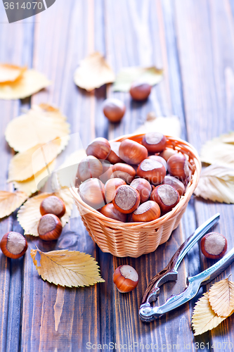 Image of hazelnuts