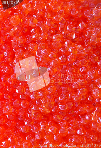 Image of salmon caviar