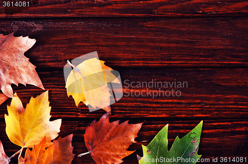 Image of autumn background