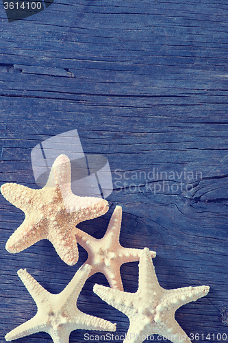 Image of starfish