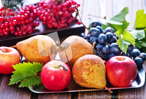 Image of autumn fruits