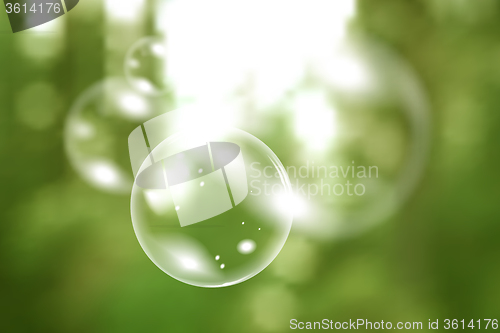 Image of Blurred natural vector background