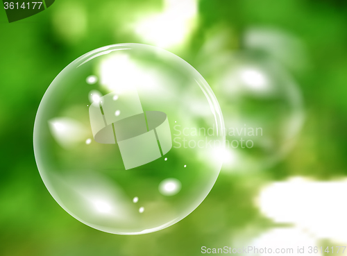 Image of Blurred natural vector background