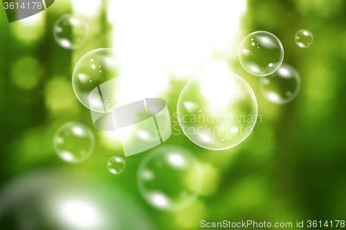 Image of Blurred natural vector background