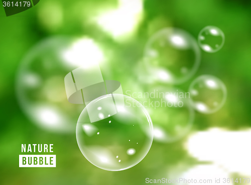 Image of Blurred natural vector background