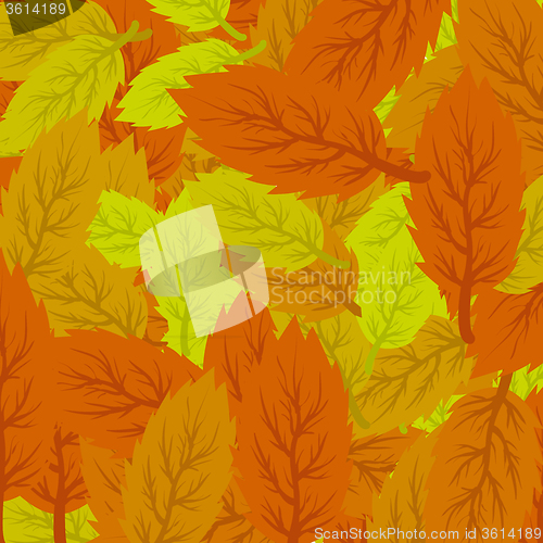 Image of Autumn Leaves Background