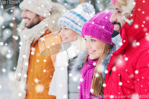 Image of group of smiling men and women in winter forest
