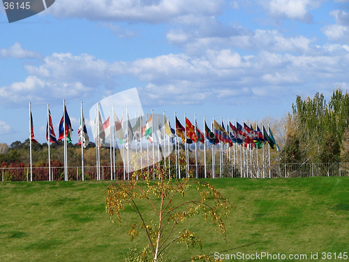 Image of international flags