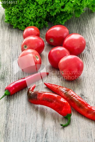 Image of The multicolored vegetables on wooden table