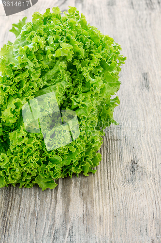 Image of lettuce salad on a  wood background