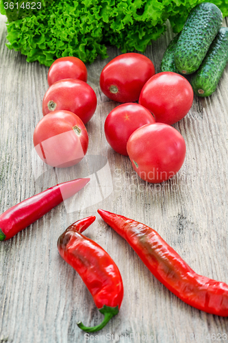 Image of The multicolored vegetables on wooden table