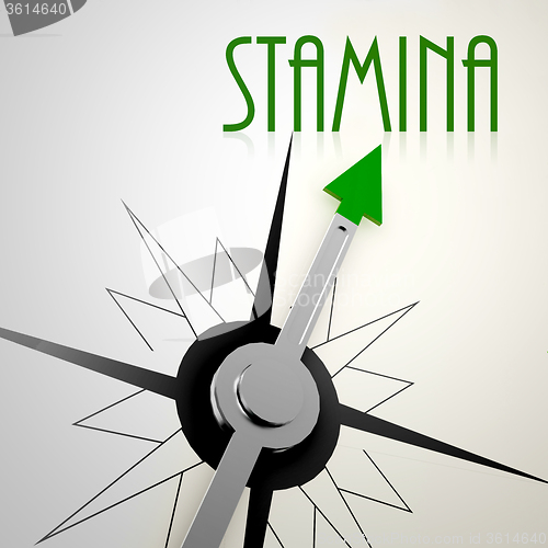 Image of Stamina on green compass