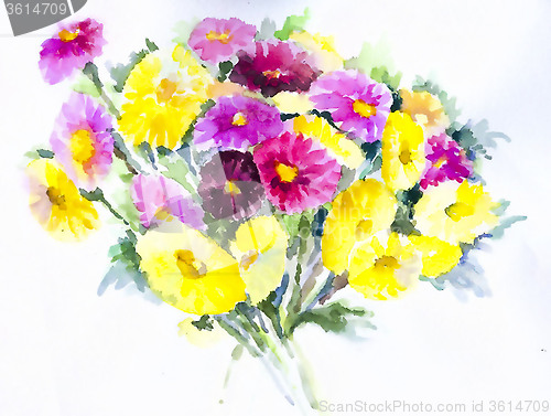Image of Bouquet of asters on a white background