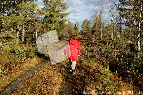 Image of Woman walking in a forest