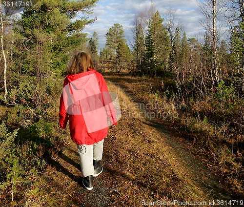 Image of Woman walking in a forest