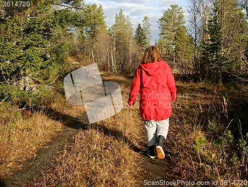 Image of Woman walking in a forest