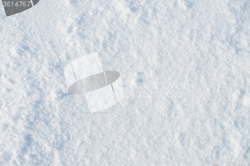 Image of fresh snow