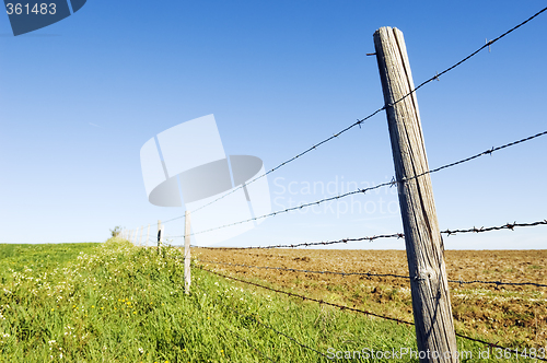 Image of Barbwire fence