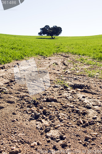 Image of Eroded field