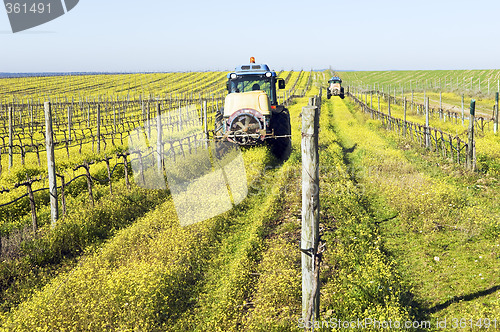 Image of  Tractors spraying the vineyard