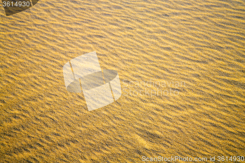 Image of africa   sand dune in   sahara morocco desert  