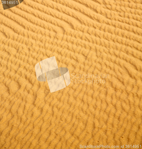 Image of the brown sand dune in the sahara morocco desert 