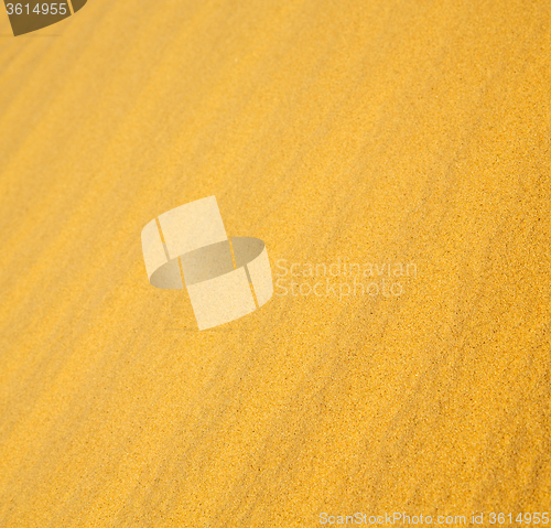 Image of africa the brown sand dune in   sahara morocco desert line